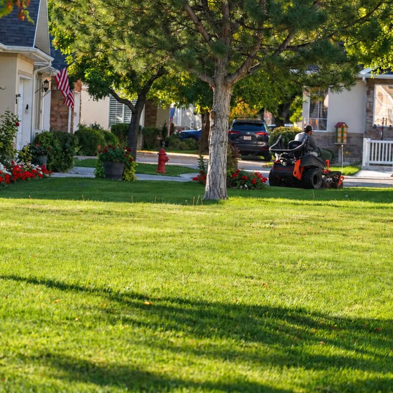 Lehi, UT Commercial Landscaping Services