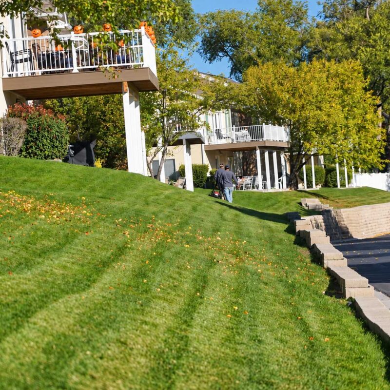 Commercial Landscape Maintenance in Salt Lake City, UT