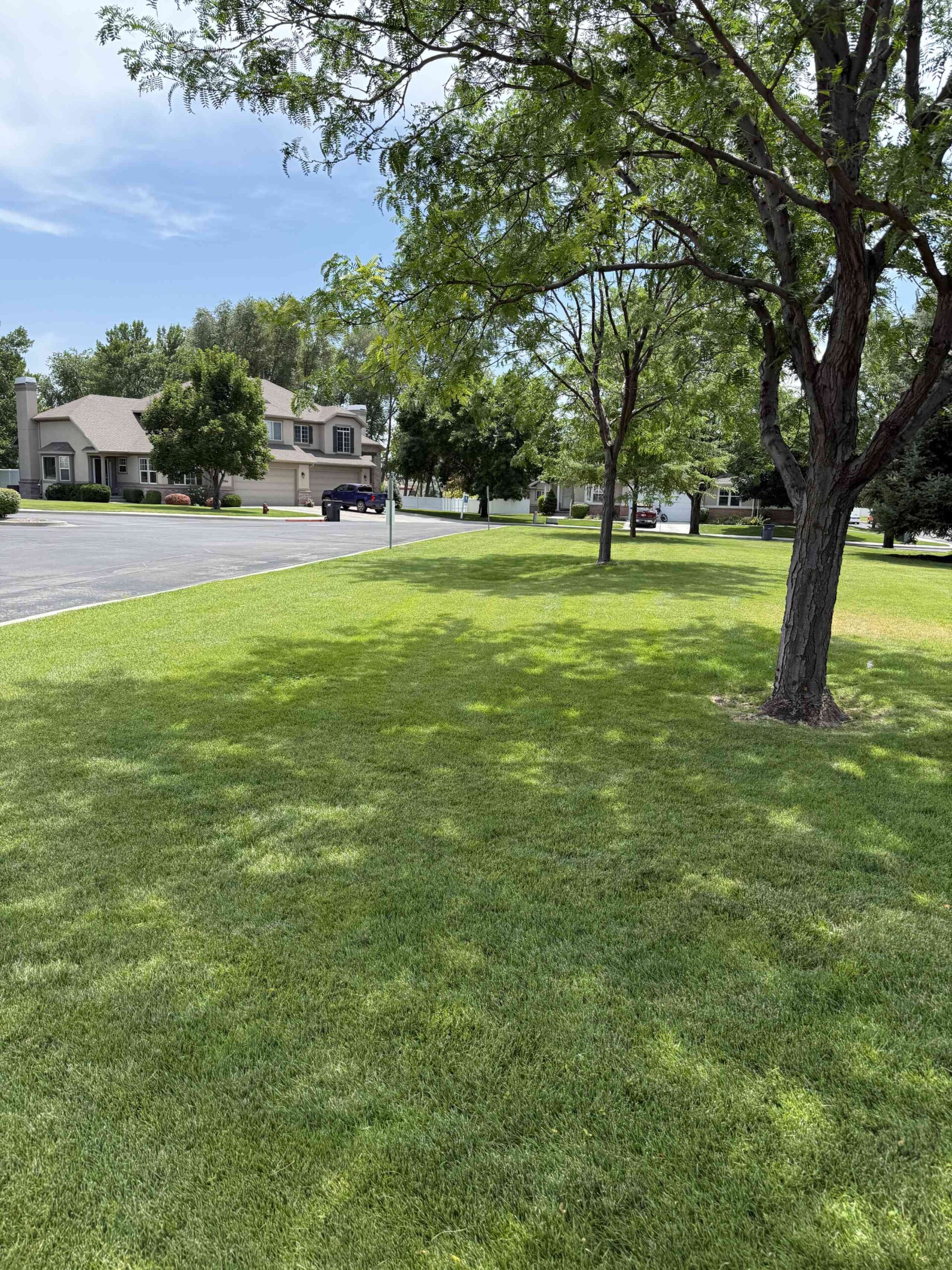 Lehi, UT Commercial Landscaping Services