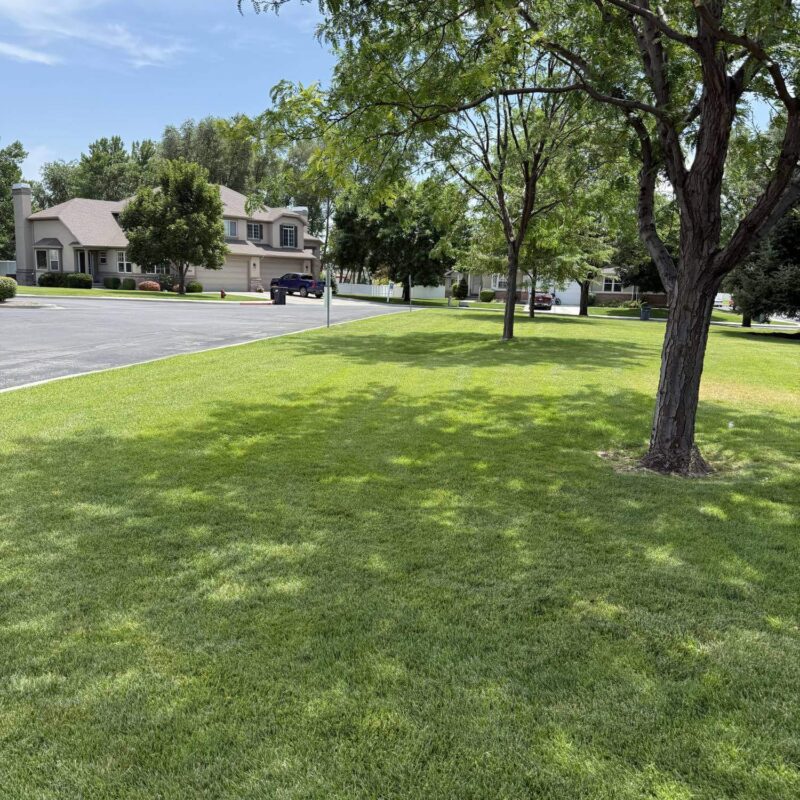 Salt Lake City, UT Commercial Landscaping Companies