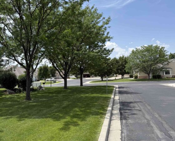 Salt Lake City, UT Commercial Landscape Installation