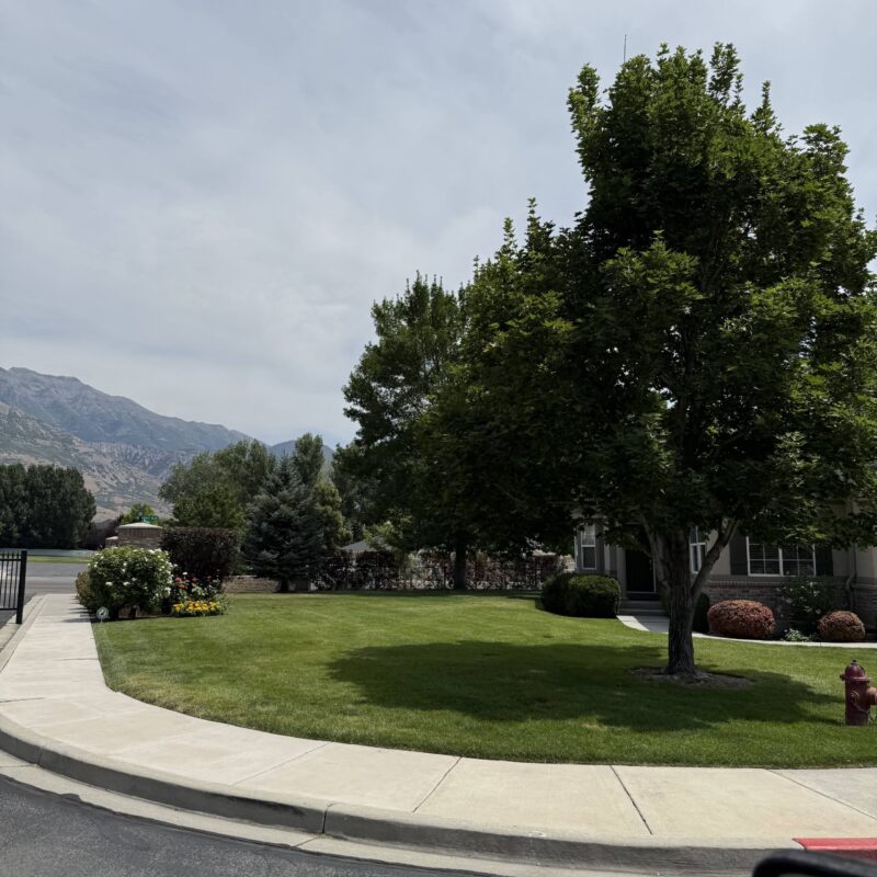 Commercial Tree Services in Salt Lake City, UT