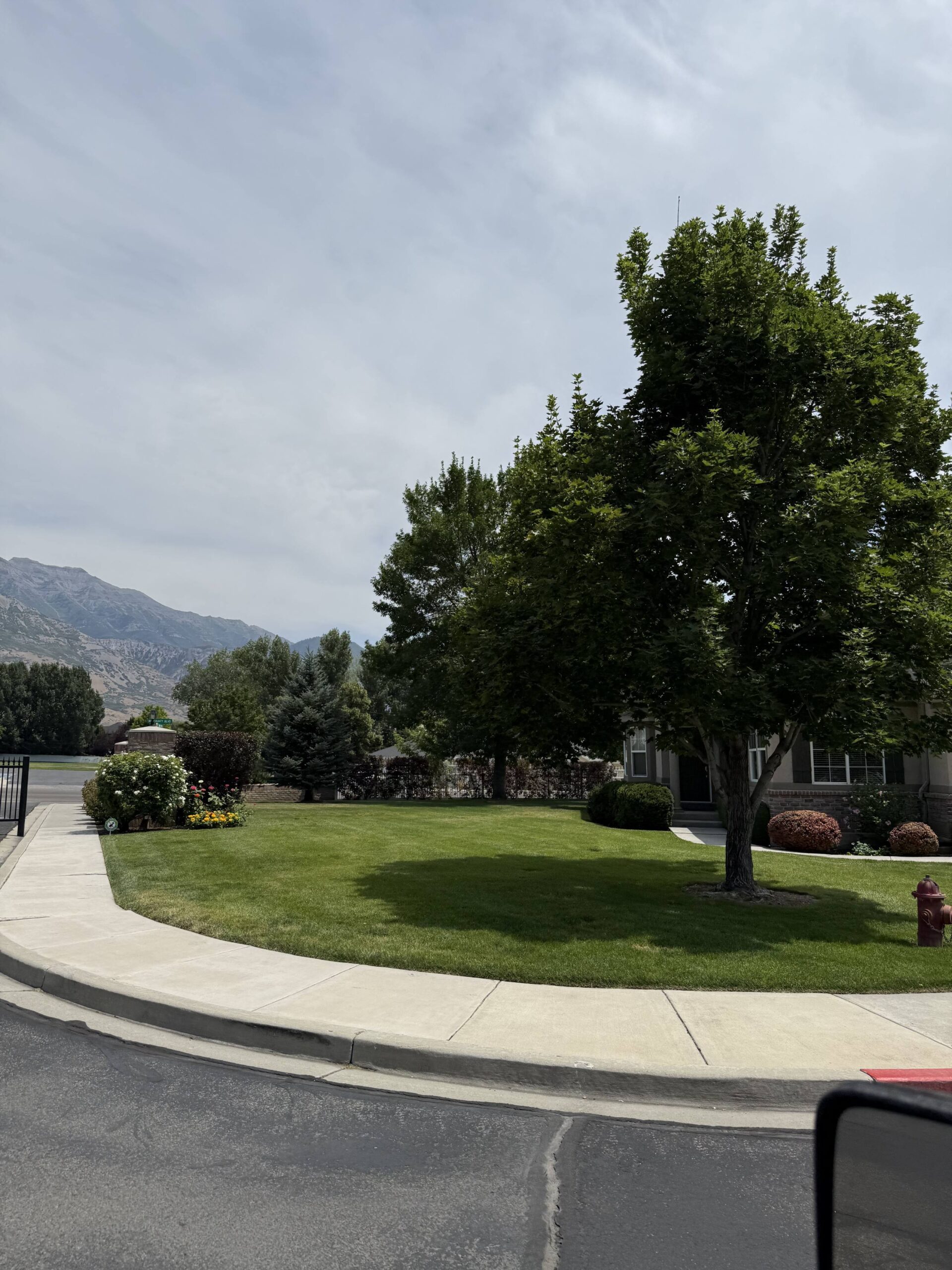 Commercial Tree Services in Salt Lake City, UT