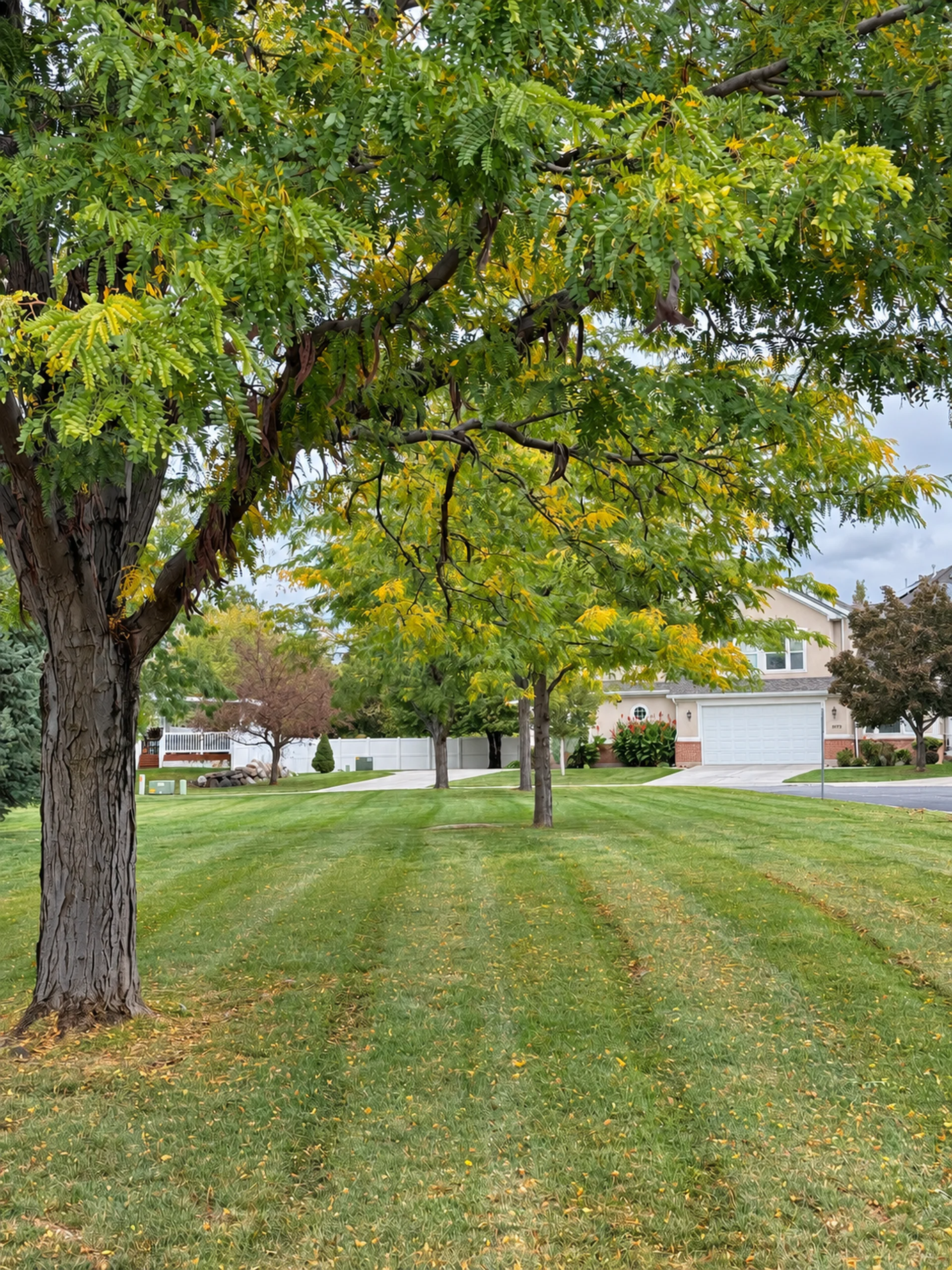 Lehi, UT Commercial Landscape