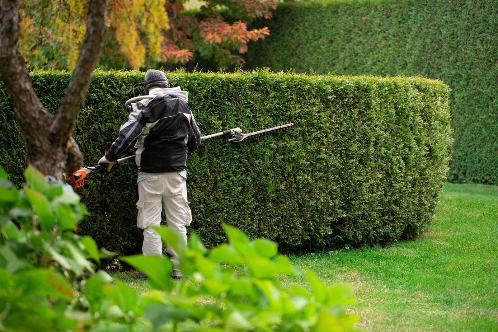 Salt Lake City, UT Commercial Landscaping Companies