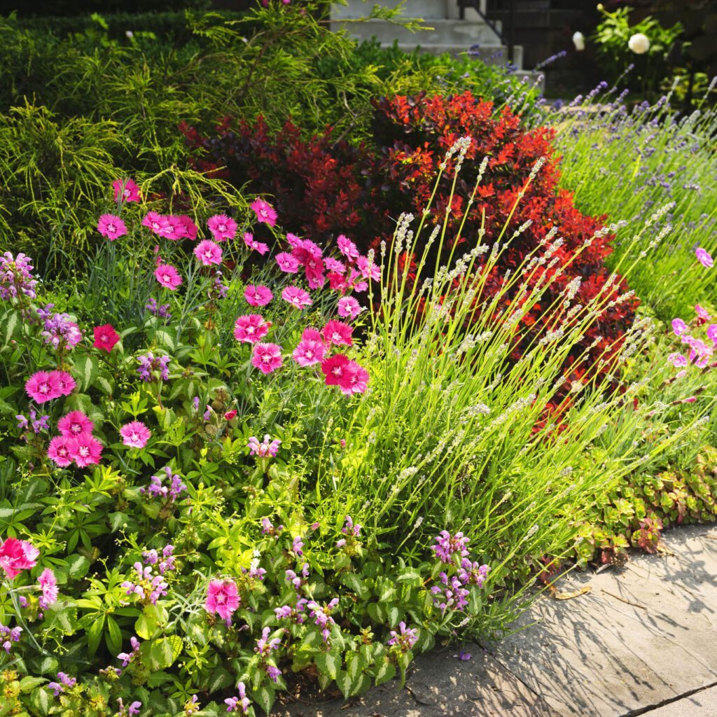 Commercial Landscaping Services For Herriman, UT